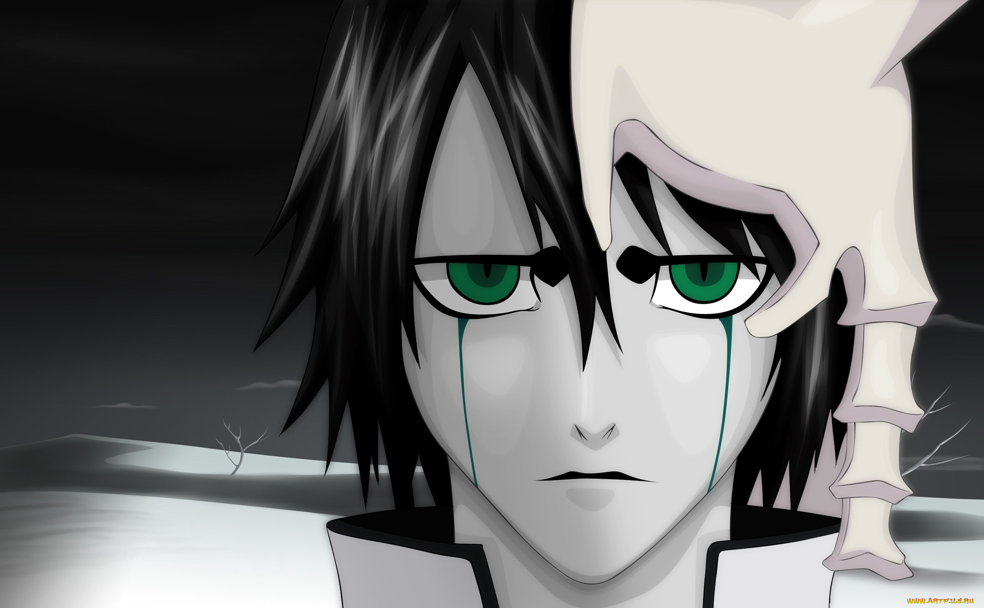 , bleach
